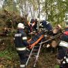 Herbstübung Sucheinsatz  21.10. - FF Mauerkirchen